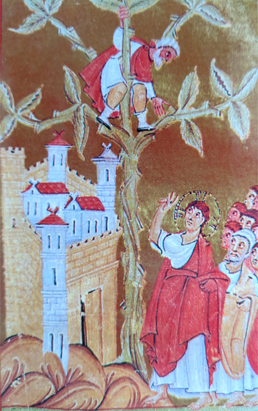 Zachäus auf dem Feigenbaum_Coverbild von Dein Herz an Gottes Ohr